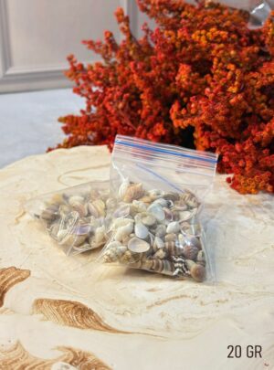 🐚 Paquete de Caracolas de Mar – Arte y Cera El Paquete de Caracolas de Mar de Arte y Cera es ideal para decorar velas, jabones, arreglos, empaques y proyectos artesanales con un toque fresco y natural. Cada paquete incluye una selección de caracolas auténticas con diferentes formas y tamaños, perfectas para dar textura y personalidad a tus creaciones. Son fáciles de aplicar y combinan perfectamente con estilos costero, tropical o decorativo, aportando un acabado único y llamativo. ✨