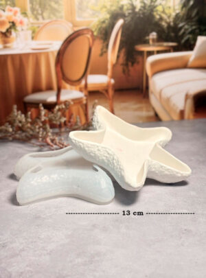 Molde de Silicona Estrella para Recipientes en Yeso